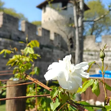 A L'aise - D'hotes A Отель типа 