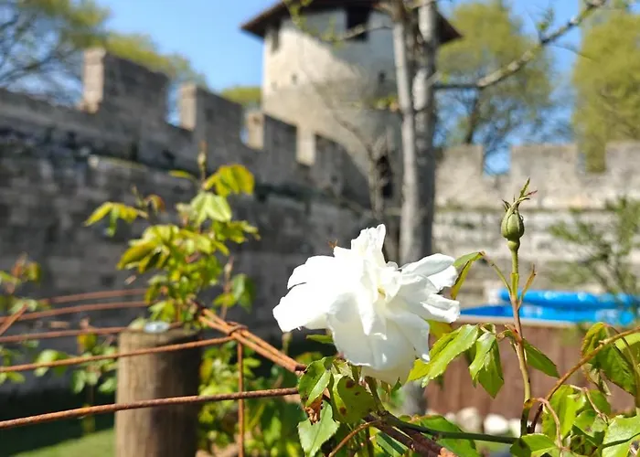 A L'aise - D'hotes A לינה וארוחת בוקר 3*